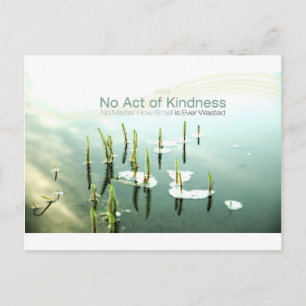 Inspiration Quote — Aesop Postcard