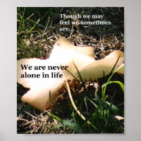 Inspiration Through Nature