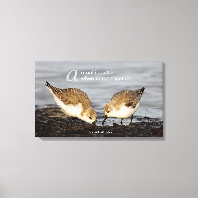 Inspirational "A Meal is Better ..." Sanderlings Canvas Print (Front)