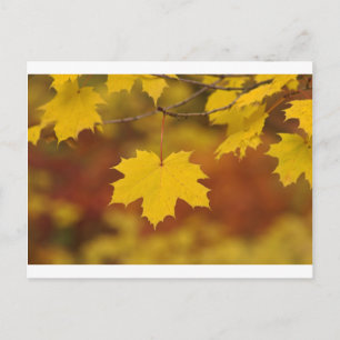 Inspirational Autumn Postcard