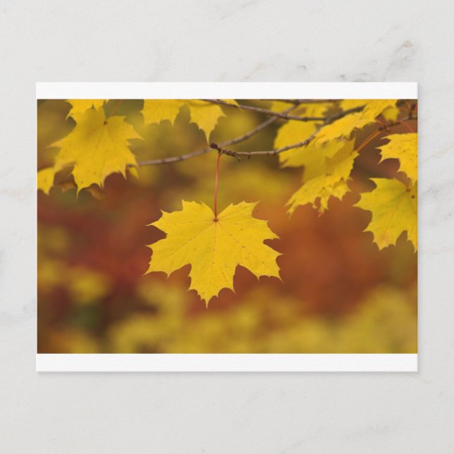 Inspirational Autumn Postcard (Front)