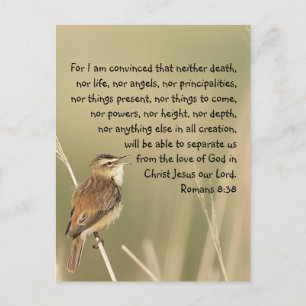 Inspirational Bible Scripture Quote Romans 8:38 Postcard