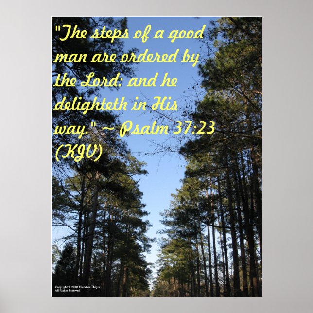 Inspirational Bible verse poster - Psalm 37:23 (Front)