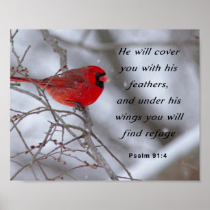 Inspirational Bible Verse, Psalm 91:4 Poster