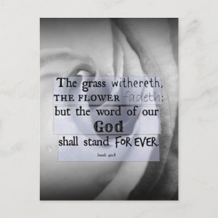 Inspirational Bible Verse: Word of God Shall Stand Postcard