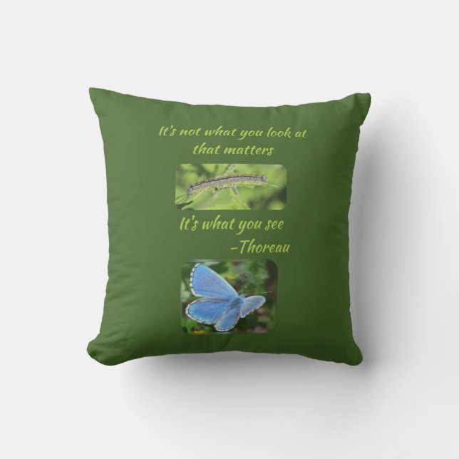 Inspirational Butterfly Thoreau Quote Cushion (Front)