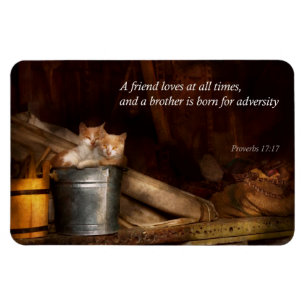 Inspirational - Cat - Bucket of fun Magnet