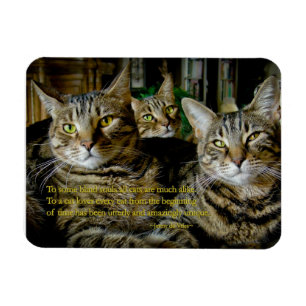 Inspirational Cat Magnet - All cats are unique
