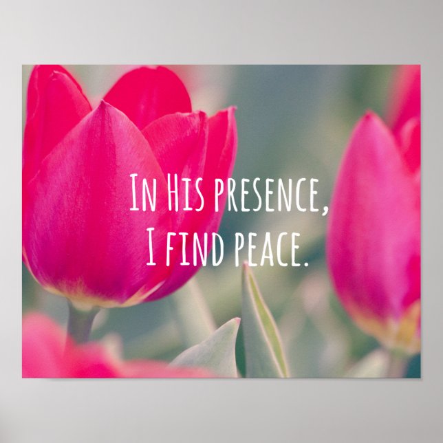 Inspirational Christian Quote God's Peace Poster (Front)