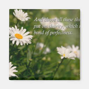 Inspirational - Daisy - Colossians 3-14 Magnet
