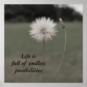 Inspirational Dandelion - Customiz... - Customised Poster