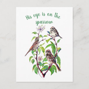 Inspirational His Eye is on the Sparrow, Postcard