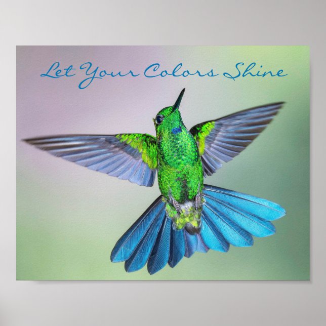 Inspirational Hummingbird Green and Blue Poster (Front)