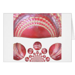 Inspirational International Red Cricket Ball Desig