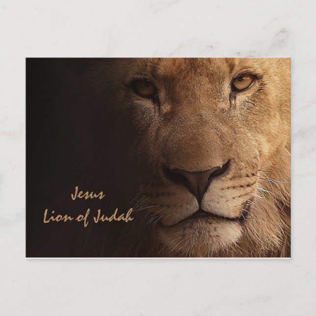 Inspirational Jesus Lion of Judah Christian Postcard (Front)
