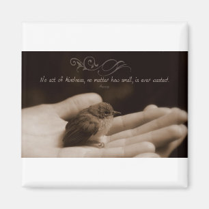 Inspirational Kindness Quote by Aesop Magnet