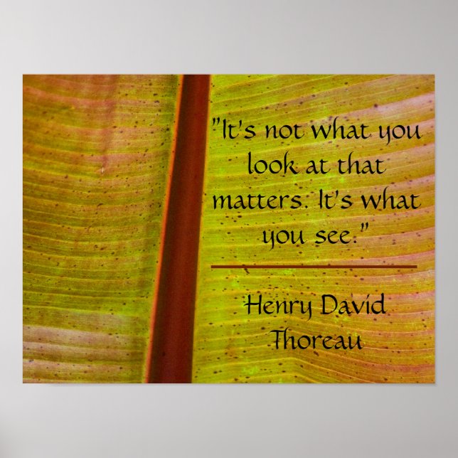 Inspirational Leaf Poster (Front)