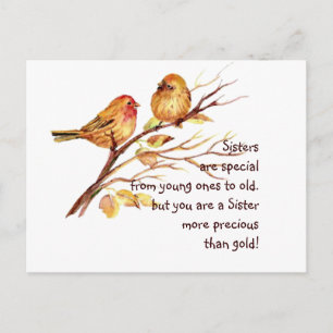 Inspirational Love Sister Saying with Cute Birds Postcard