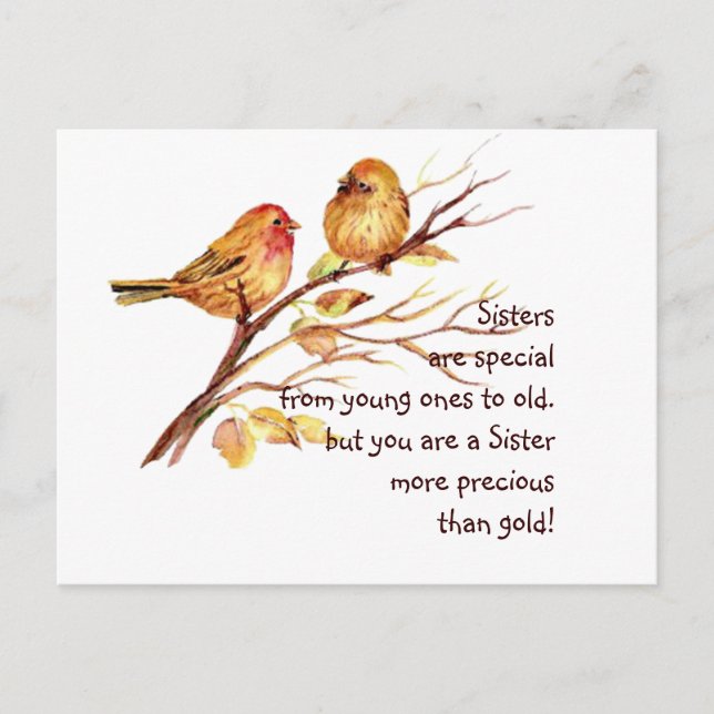 Inspirational Love Sister Saying with Cute Birds Postcard (Front)