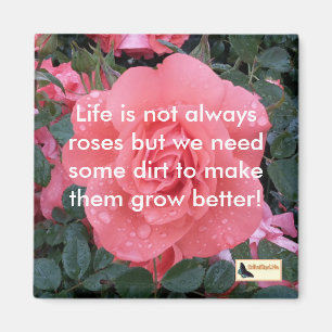 Inspirational Magnets - Keep moving