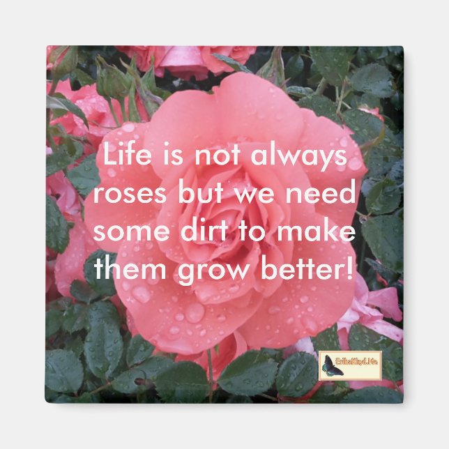 Inspirational Magnets - Keep moving (Front)