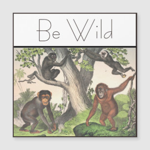 Inspirational Monkey Chimpanzee Vintage