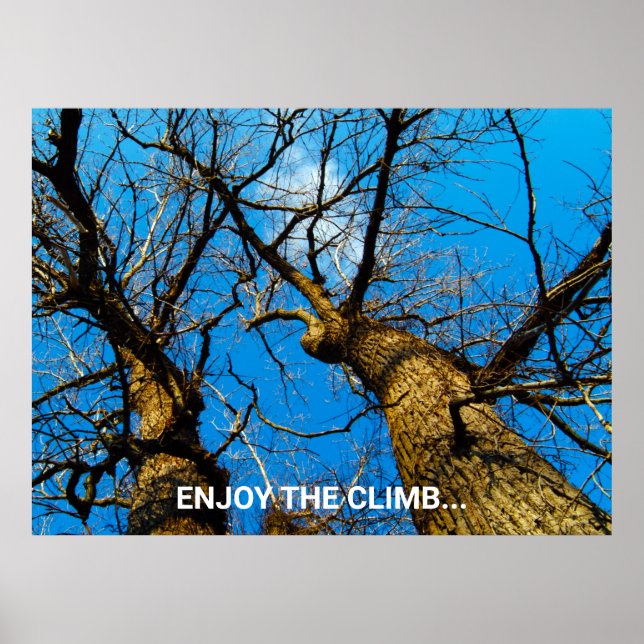 INSPIRATIONAL NATURE PHOTO ART POSTER (Front)