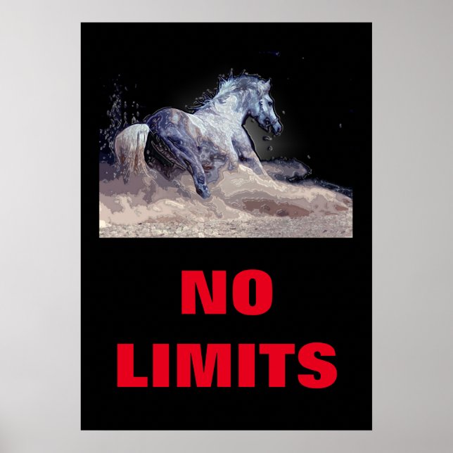 Inspirational No Limits Horse Motivational Poster (Front)