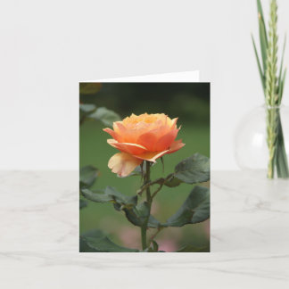 inspirational peach rose notecard
