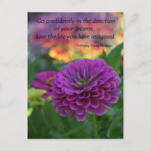 Inspirational postcards bulk discount Zinnia