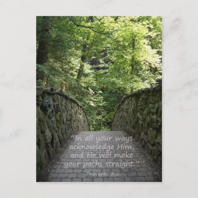 Inspirational (Prov. 3:6) Postcard (Front)