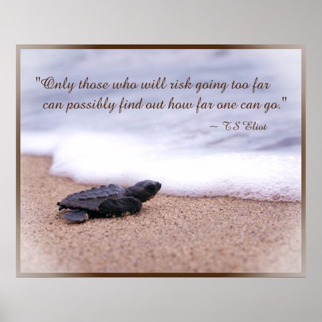 Inspirational Quote Baby Sea Turtle Sand Ocean Poster (Front)