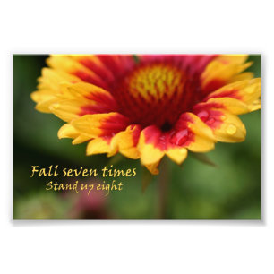 Inspirational quote colourful flower photograph