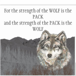 Inspirational Quote Grey Wolf Mountain Animal