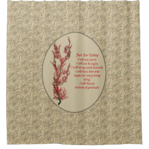 Inspirational Quote Just For Today   Shower Curtain