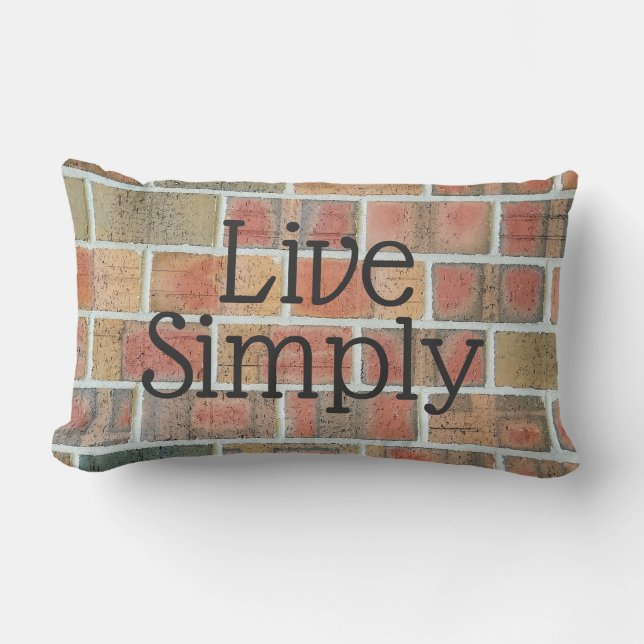 inspirational quote on brick lumbar cushion (Front)