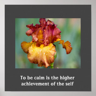 Inspirational Quote Poster