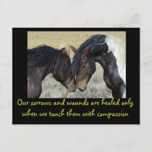 Inspirational Quote. Two Wild Horses Nuzzling Postcard