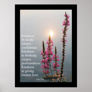 Inspirational Quotes and Sayings Lao Tzu Poster