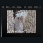 Inspirational Quotes Goat Calendar 2013<br><div class="desc">On a Personal Note.. the Gorgeous Angora Buck on the Cover of this Calendar (Handsome) lost his battle with Cancer November 27th 2010 - His loss leaves a HUGE empty spot in my heart. Goat Calendar with Inspirational Quotes on each page that accompany the beautiful photo of the goat of...</div>