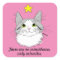 Inspirational Ragdoll Cat Gizmo Miracles Sticker
