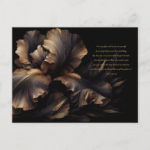 Inspirational Scripture (Luke 12:25-27) Postcards