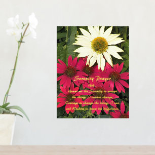 Inspirational Serenity Prayer Coneflowers Floral Foil Prints