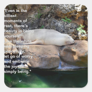Inspirational: Sleeping White Sea Lion On Rocks, Square Sticker