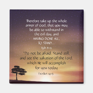 Inspirational Uplisting Motivation Bible Scripture Magnet