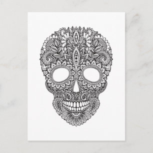 Inspired Human Skull Postcard
