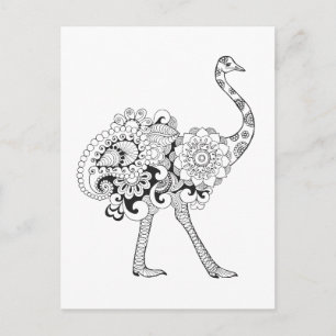 Inspired Ostrich Postcard