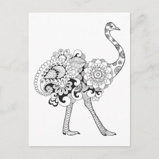 Inspired Ostrich Postcard