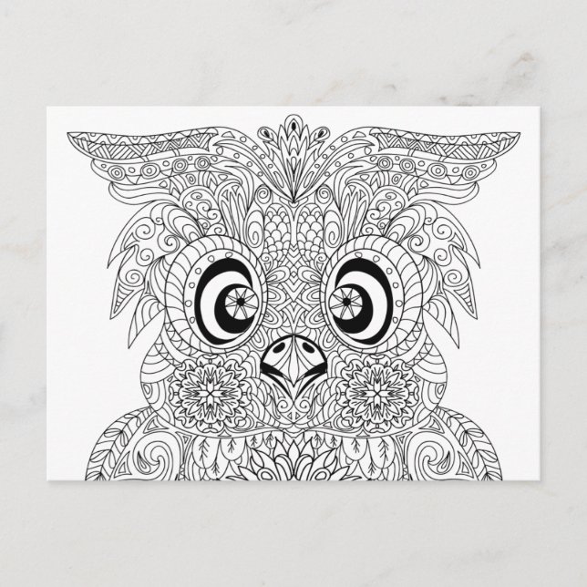 Inspired Owl Portrait Postcard (Front)