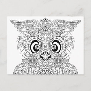 Inspired Owl Portrait Postcard